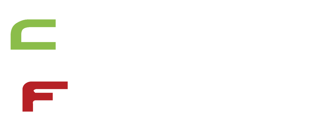 Colour Flake Logo